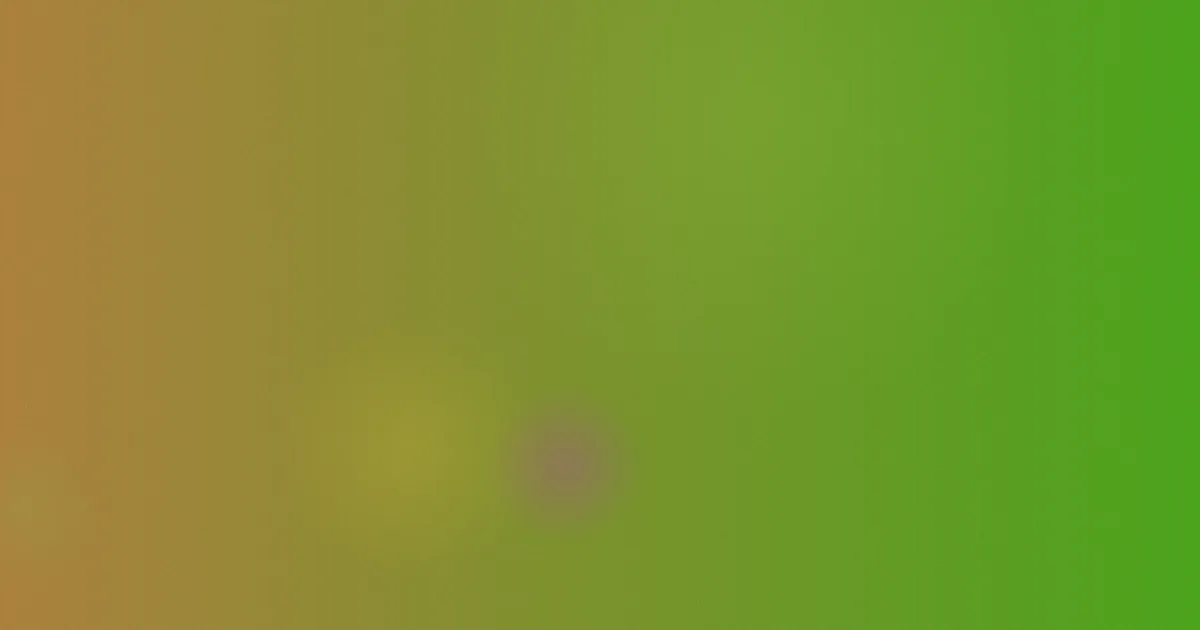 姐姐电影对比：一次看懂差别